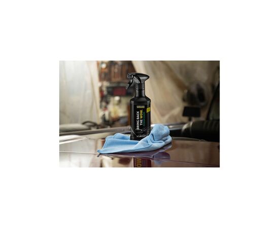 Автомобильный очиститель Karcher RM 651 автомобильный для чистки салона, 0,5 л (6.296-106.0), изображение 2 Автомобильный очиститель Karcher RM 651 автомобильный для чистки салона, 0,5 л (6.296-106.0), изображение 2