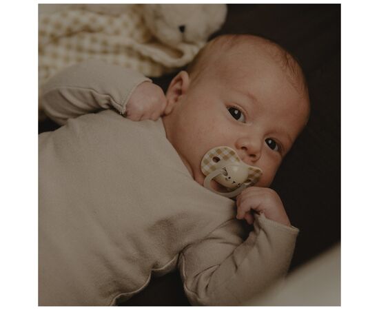 Пустышка Suavinex фізіологочна 2 шт. 0-6 місяців,нічна/лев (308211), изображение 6 Пустышка Suavinex фізіологочна 2 шт. 0-6 місяців,нічна/лев (308211), изображение 6