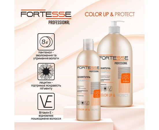 Шампунь Fortesse Professional Color Up & Protect Для окрашенных волос Стойкость цвета 1000 мл (4820000306171), изображение 2 Шампунь Fortesse Professional Color Up & Protect Для окрашенных волос Стойкость цвета 1000 мл (4820000306171), изображение 2
