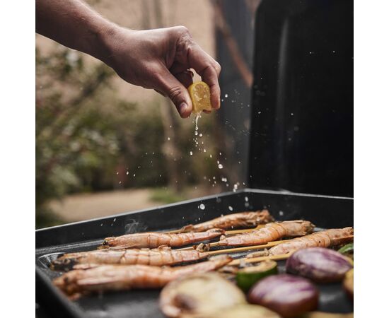Гриль-барбекю Weber Slate GP 43 см Premium Griddle (1501161), изображение 6 Гриль-барбекю Weber Slate GP 43 см Premium Griddle (1501161), изображение 6