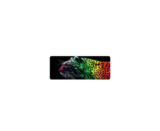 Килимок для мишки Voltronic Panther (P300-700)