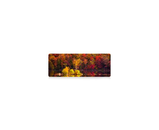 Коврик для мышки Voltronic Autumn forest (AT372)