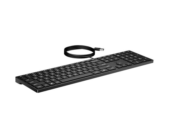 Клавиатура HP 320K USB UA Black (9SR37UT), изображение 4 Клавиатура HP 320K USB UA Black (9SR37UT), изображение 4