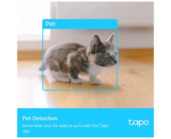 Камера видеонаблюдения TP-Link TAPO-C225, изображение 6 Камера видеонаблюдения TP-Link TAPO-C225, изображение 6