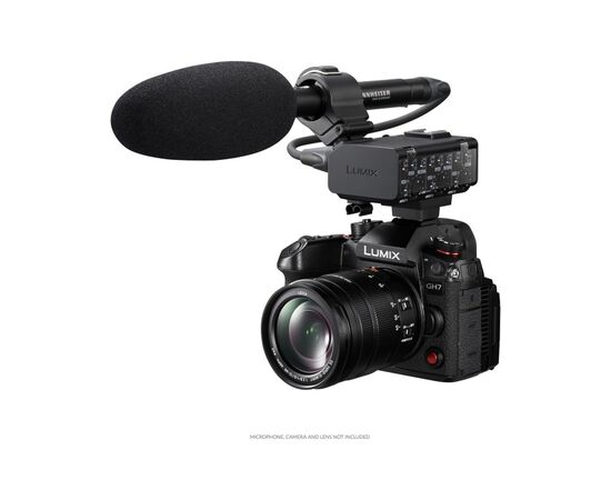 Аксессуар для фото- видеокамер Panasonic Microphone adapter for GH7 (DMW-XLR2E), изображение 4 Аксессуар для фото- видеокамер Panasonic Microphone adapter for GH7 (DMW-XLR2E), изображение 4