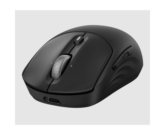 Мышка HP 700 Rechargeable Wireless/Bluetooth Black (AZ7B0AA), изображение 7 Мышка HP 700 Rechargeable Wireless/Bluetooth Black (AZ7B0AA), изображение 7