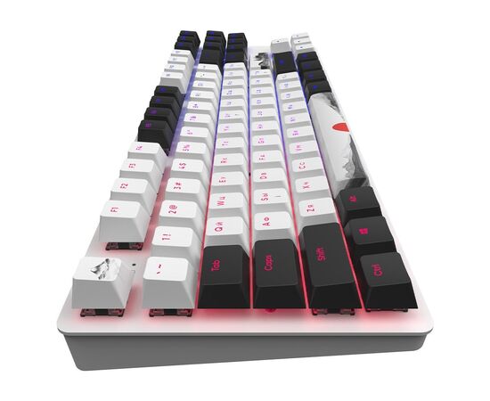 Клавиатура Dark Project One 87 Fuji ABS RGB Mech G3ms Sapphire USB Black/White (DPO87_GSH_Fuji_ANSI_UA), изображение 5 Клавиатура Dark Project One 87 Fuji ABS RGB Mech G3ms Sapphire USB Black/White (DPO87_GSH_Fuji_ANSI_UA), изображение 5