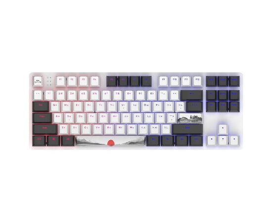 Клавиатура Dark Project One 87 Fuji ABS RGB Mech G3ms Sapphire USB Black/White (DPO87_GSH_Fuji_ANSI_UA)