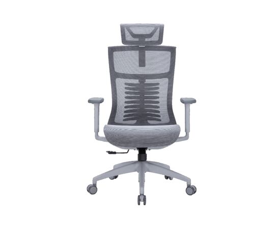 Офісне крісло OfficePro Balance OC620-G-DG-DG (OC620-G-DG-DG)