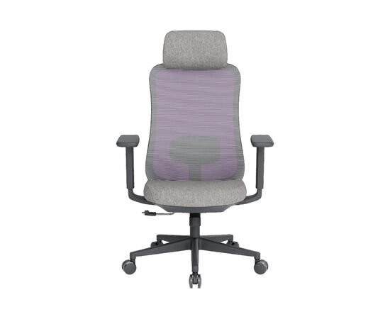 Офісне крісло OfficePro Wave OC599-B-DG-DG (OC599-B-DG-DG)