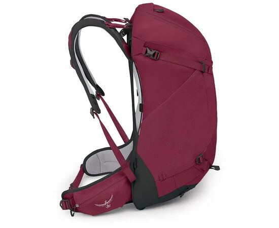 Рюкзак туристический Osprey Hikelite 32 chameleon/black - S/M - бордовий (009.4013), изображение 5 Рюкзак туристический Osprey Hikelite 32 chameleon/black - S/M - бордовий (009.4013), изображение 5