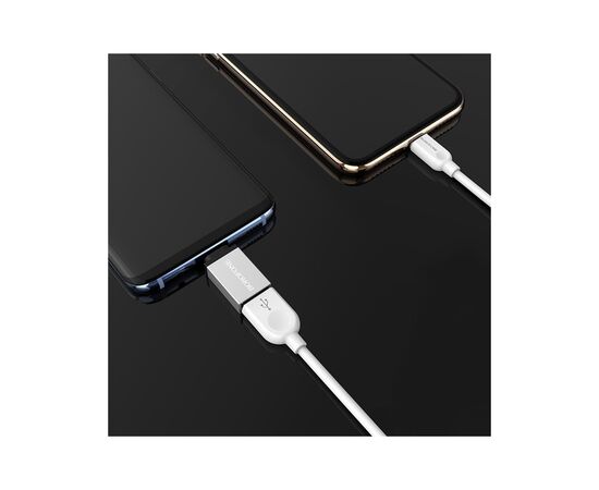 Переходник OTG USB 3.0 AF to USB-C BOROFONE (6957531090328), изображение 6 Переходник OTG USB 3.0 AF to USB-C BOROFONE (6957531090328), изображение 6