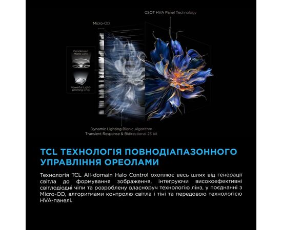Телевизор TCL 98C6K, изображение 10 Телевизор TCL 98C6K, изображение 10