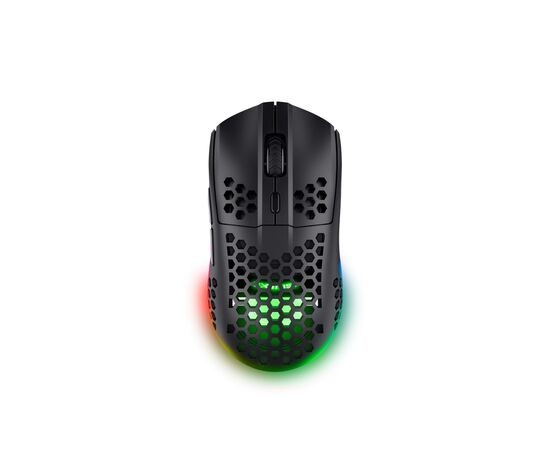 Мишка Trust GXT 929 Helox Wireless/USB-A Black (25307)