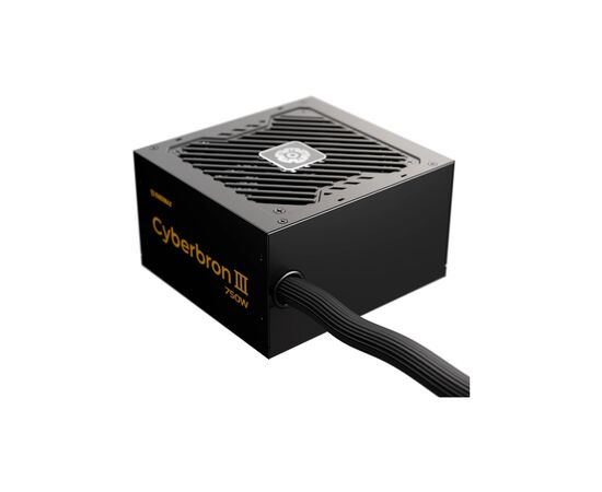 Блок живлення Enermax 750W Cyberbron III (EMB750EWT-NAC)