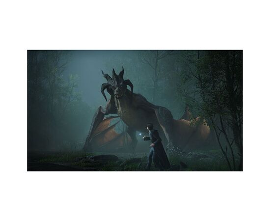 Игра Nintendo Hogwarts Legacy Deluxe Edition, картридж (5051895415597), изображение 3