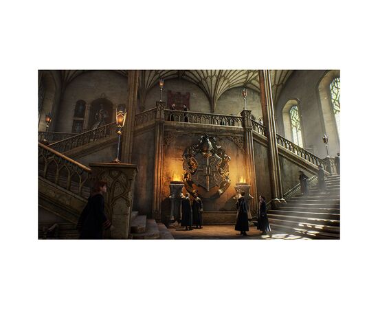 Игра Nintendo Hogwarts Legacy Deluxe Edition, картридж (5051895415597), изображение 4