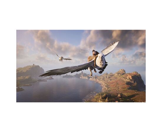 Игра Nintendo Hogwarts Legacy Deluxe Edition, картридж (5051895415597), изображение 5