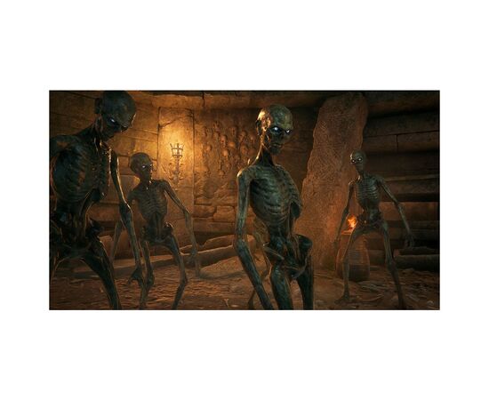 Игра Nintendo Hogwarts Legacy Deluxe Edition, картридж (5051895415597), изображение 6