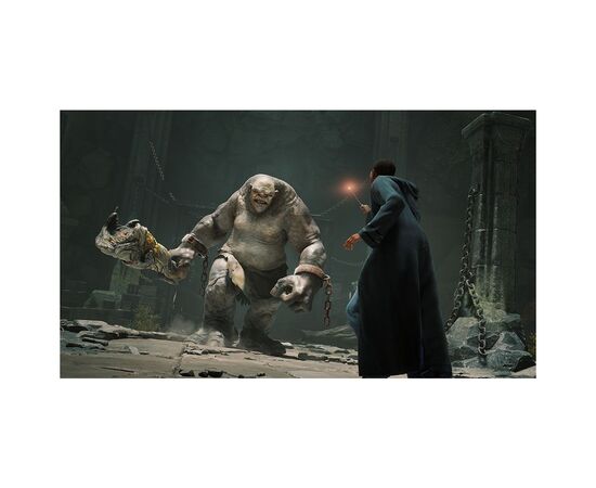 Игра Nintendo Hogwarts Legacy Deluxe Edition, картридж (5051895415597), изображение 9