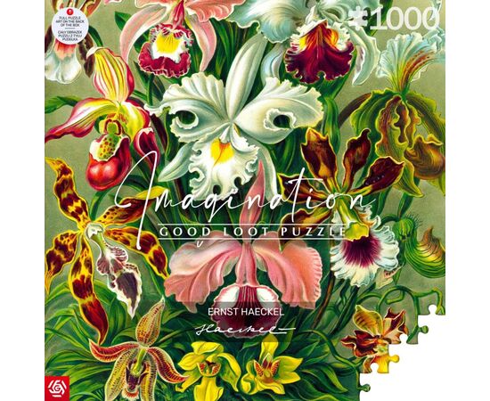 Пазл GoodLoot Imagination: Orchid Ernst Haeckel 1000 эл. (5908305247531), изображение 4 Пазл GoodLoot Imagination: Orchid Ernst Haeckel 1000 эл. (5908305247531), изображение 4