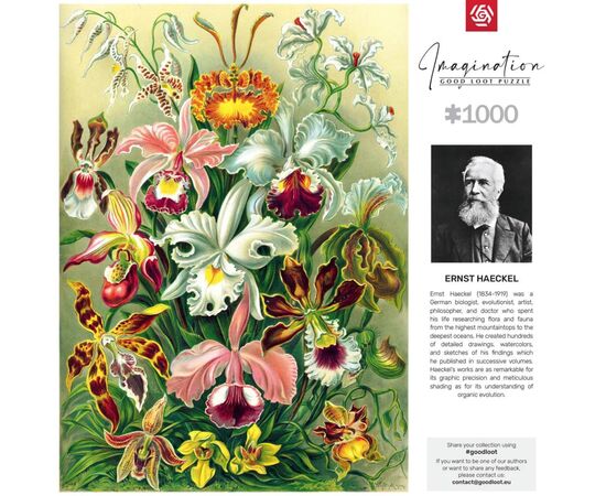 Пазл GoodLoot Imagination: Orchid Ernst Haeckel 1000 эл. (5908305247531), изображение 7 Пазл GoodLoot Imagination: Orchid Ernst Haeckel 1000 эл. (5908305247531), изображение 7