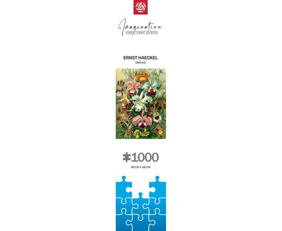 Пазл GoodLoot Imagination: Orchid Ernst Haeckel 1000 эл. (5908305247531), изображение 8 Пазл GoodLoot Imagination: Orchid Ernst Haeckel 1000 эл. (5908305247531), изображение 8