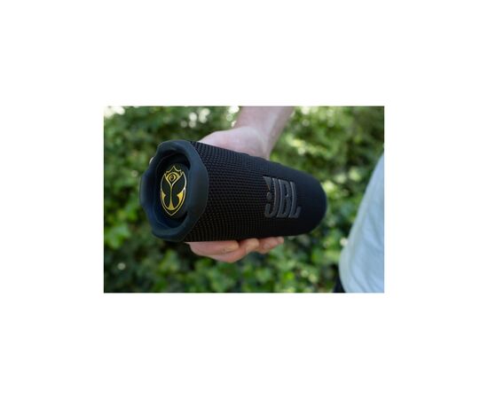 Акустична система JBL Flip 7 Tomorrowland (JBLFLIP7TML), зображення 12 Акустична система JBL Flip 7 Tomorrowland (JBLFLIP7TML), зображення 12