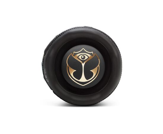 Акустична система JBL Flip 7 Tomorrowland (JBLFLIP7TML), зображення 4 Акустична система JBL Flip 7 Tomorrowland (JBLFLIP7TML), зображення 4