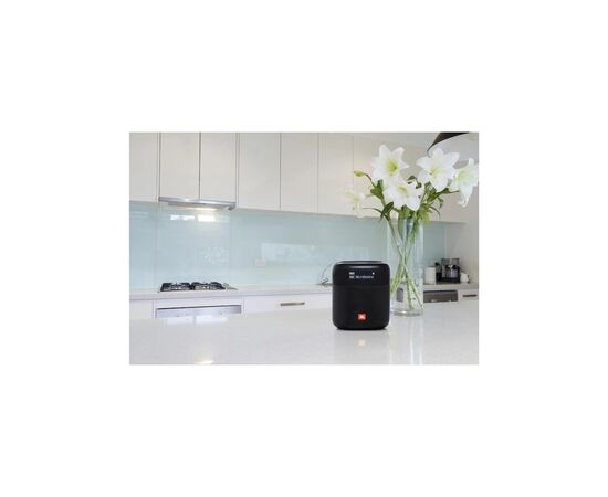 Акустическая система JBL Tuner XL FM Black (JBLTUNERXLBLKEUNA), изображение 10 Акустическая система JBL Tuner XL FM Black (JBLTUNERXLBLKEUNA), изображение 10