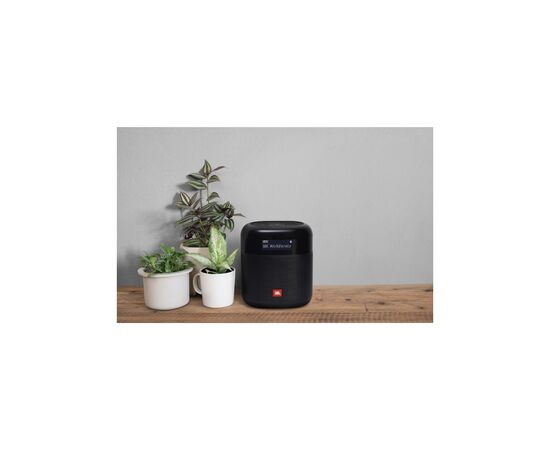 Акустическая система JBL Tuner XL FM Black (JBLTUNERXLBLKEUNA), изображение 9 Акустическая система JBL Tuner XL FM Black (JBLTUNERXLBLKEUNA), изображение 9