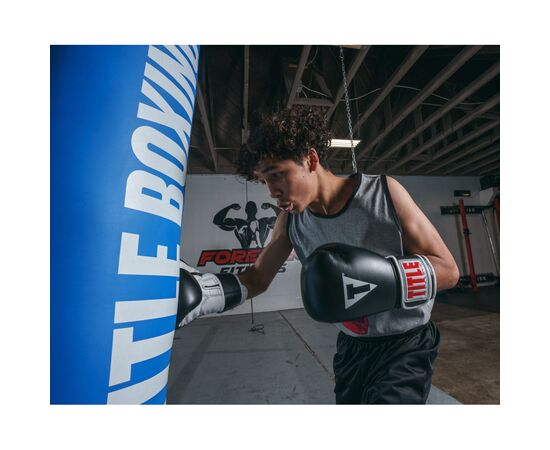 Боксерские перчатки Title Classic Pro Style 3.0 Black/White 14 oz (CVVTG3 14 BK/WH), изображение 9