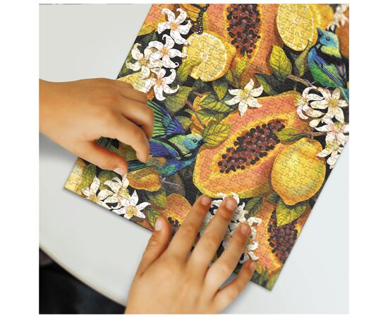 Пазл DoDo Easy-XL Ботаніка. Тропічні фрукти (300616), зображення 6 Пазл DoDo Easy-XL Ботаніка. Тропічні фрукти (300616), зображення 6