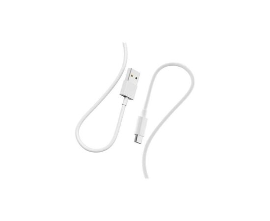 Дата кабель USB 2.0 AM to USB-C 1.0m 2.4A white Denmen (D22T-WH)