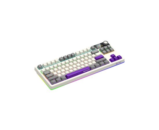 Клавіатура Lorgar KBP70TKLW Wireless TKL Mechanical Pro UA Beige (LRG-KBP70TKLW-RT-US), зображення 3 Клавіатура Lorgar KBP70TKLW Wireless TKL Mechanical Pro UA Beige (LRG-KBP70TKLW-RT-US), зображення 3