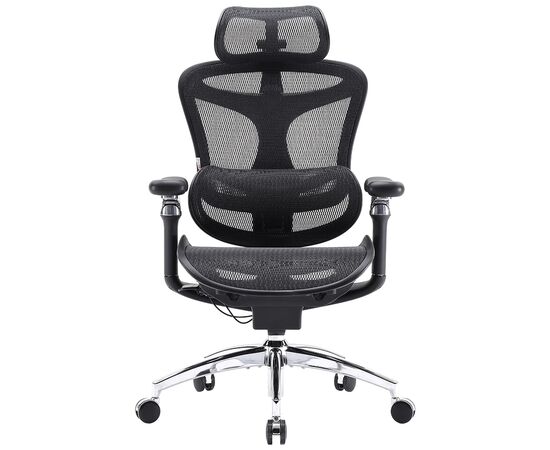 Офисное кресло Sihoo DORO C300 Pro Mesh Black (DORO-C300-PRO-M101), изображение 2 Офисное кресло Sihoo DORO C300 Pro Mesh Black (DORO-C300-PRO-M101), изображение 2