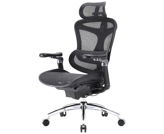Офисное кресло Sihoo DORO C300 Pro Mesh Black (DORO-C300-PRO-M101)