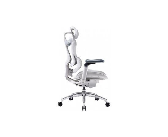 Офисное кресло Sihoo DORO C300 Pro Mesh White (DORO-C300-PRO-M102), изображение 3 Офисное кресло Sihoo DORO C300 Pro Mesh White (DORO-C300-PRO-M102), изображение 3