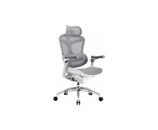 Офисное кресло Sihoo DORO C300 Pro Mesh White (DORO-C300-PRO-M102), изображение 5 Офисное кресло Sihoo DORO C300 Pro Mesh White (DORO-C300-PRO-M102), изображение 5