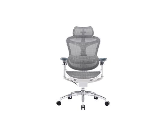 Офисное кресло Sihoo DORO C300 Pro Mesh White (DORO-C300-PRO-M102)