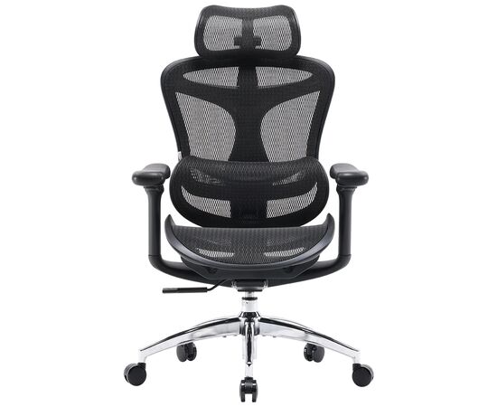 Офисное кресло Sihoo DORO C300L Mesh Black (DORO-C300L-A3-101), изображение 2 Офисное кресло Sihoo DORO C300L Mesh Black (DORO-C300L-A3-101), изображение 2