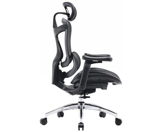 Офисное кресло Sihoo DORO C300L Mesh Black (DORO-C300L-A3-101), изображение 4 Офисное кресло Sihoo DORO C300L Mesh Black (DORO-C300L-A3-101), изображение 4
