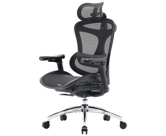 Офисное кресло Sihoo DORO C300L Mesh Black (DORO-C300L-A3-101)