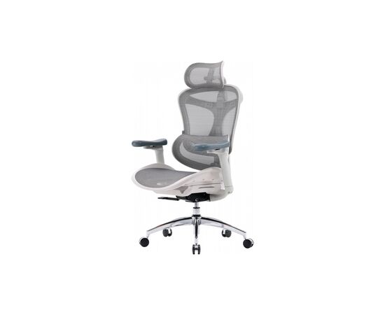 Офисное кресло Sihoo DORO C300L Mesh White (DORO-C300L-A3-102)