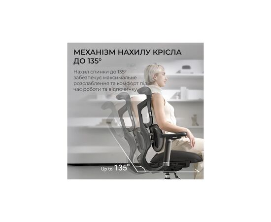 Офисное кресло Sihoo DORO S100 Mesh Black (S100-M301), изображение 8 Офисное кресло Sihoo DORO S100 Mesh Black (S100-M301), изображение 8