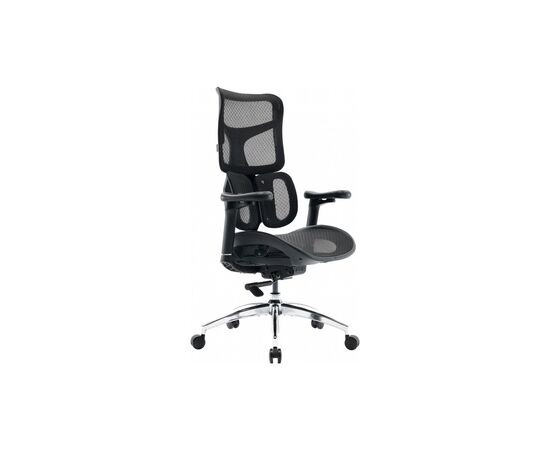Офисное кресло Sihoo DORO S100 Mesh Black (S100-M301)