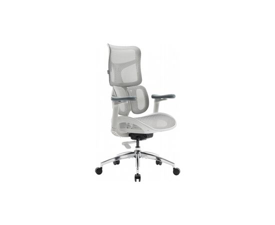 Офисное кресло Sihoo DORO S100 Mesh White (S100-M302)