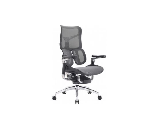 Офисное кресло Sihoo DORO S300 Mesh Dark Grey (S300-M201)
