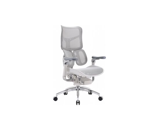 Офисное кресло Sihoo DORO S300 Mesh Light Grey (S300-M202)