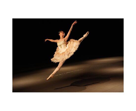 Об'єктив Sony 28-70mm f/2.0 GM for NEX FF (SEL2870GM.SYX), зображення 3 Об'єктив Sony 28-70mm f/2.0 GM for NEX FF (SEL2870GM.SYX), зображення 3